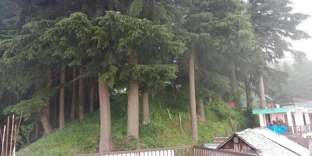 Hotel Forest View Lāhri Екстериор снимка